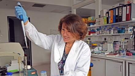 Dr Tanya Soboleva in the lab.
