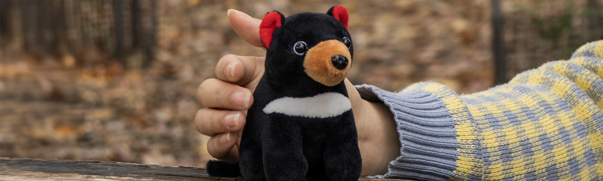 Tasmanian devil