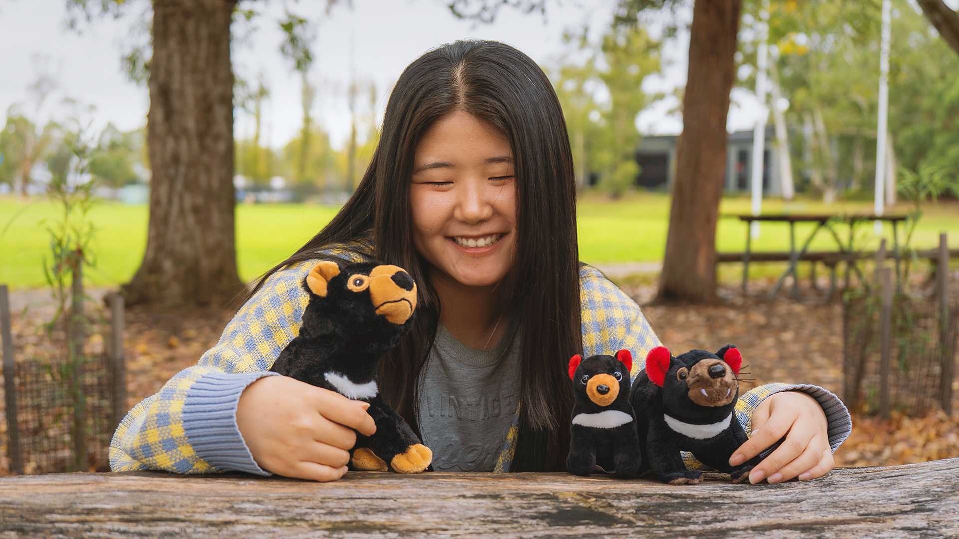 Meet Sabrina Fu and her Tasmanian devil paraphernalia—she named them after the Devil Facial Tumour cell lines she used in her research. Image: Calo Huang/ANU Honours student Yi Ning Fu