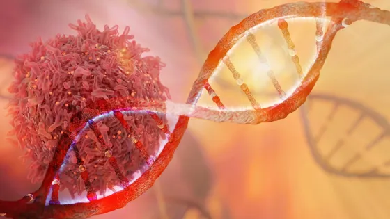 Division of Genome Sciences and Cancer