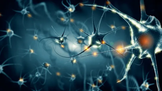 Eccles Institute of Neuroscience