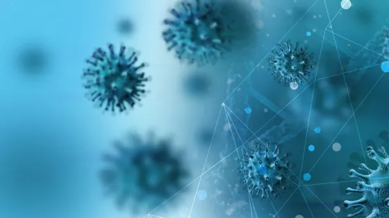 Division of Immunology and Infectious Diseases