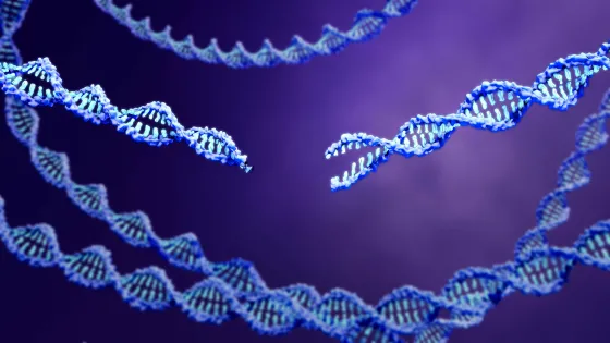 CRISPR Screening Service