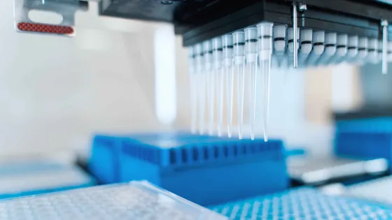 RNAi Screening