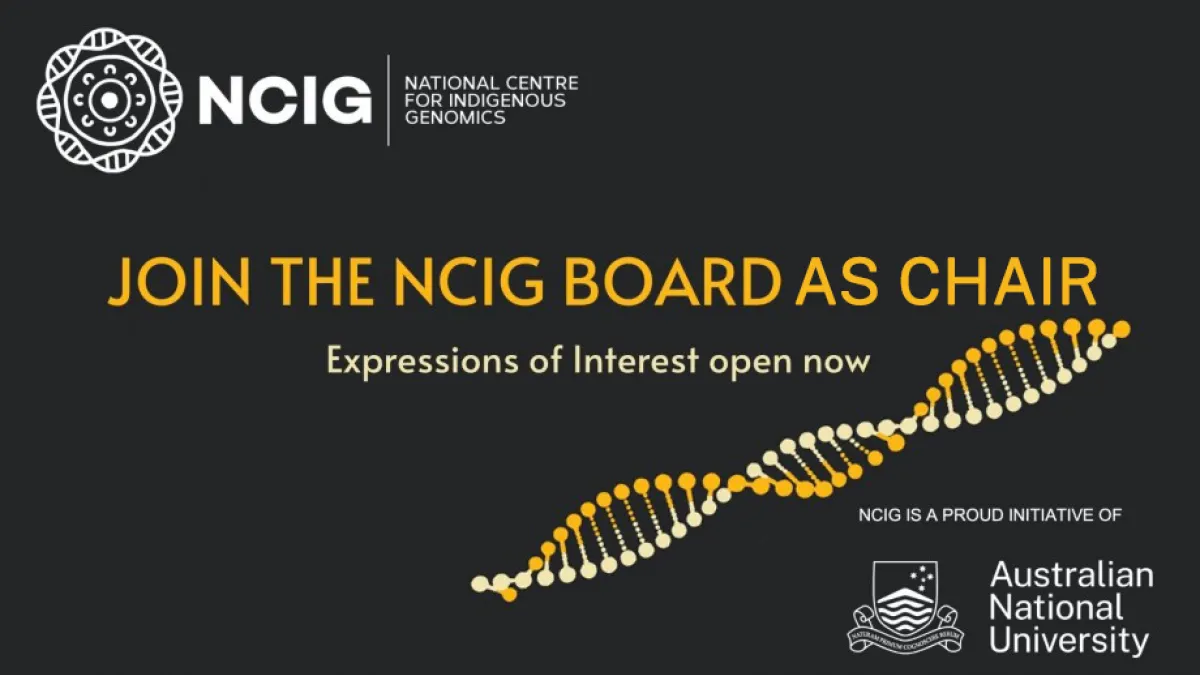 NCIG board chair 