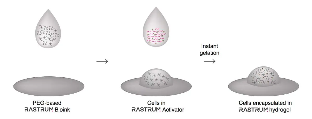 Rastrum Technology
