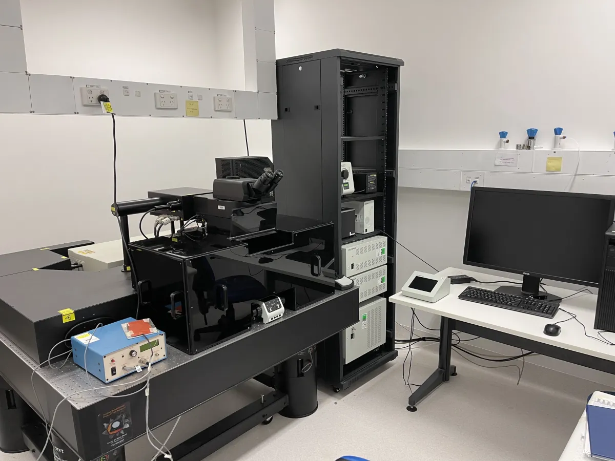 MULTIPHOTON