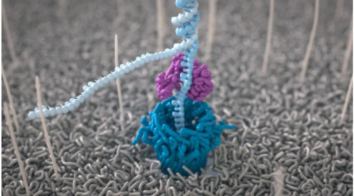 A 3D model depicting a virus-like structure with blue, purple, and light blue components, shown on a textured grey background.