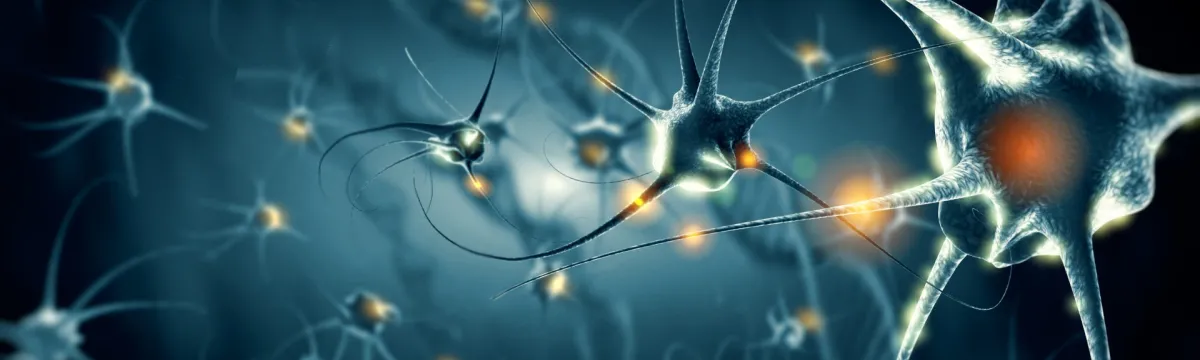 Eccles Institute of Neuroscience