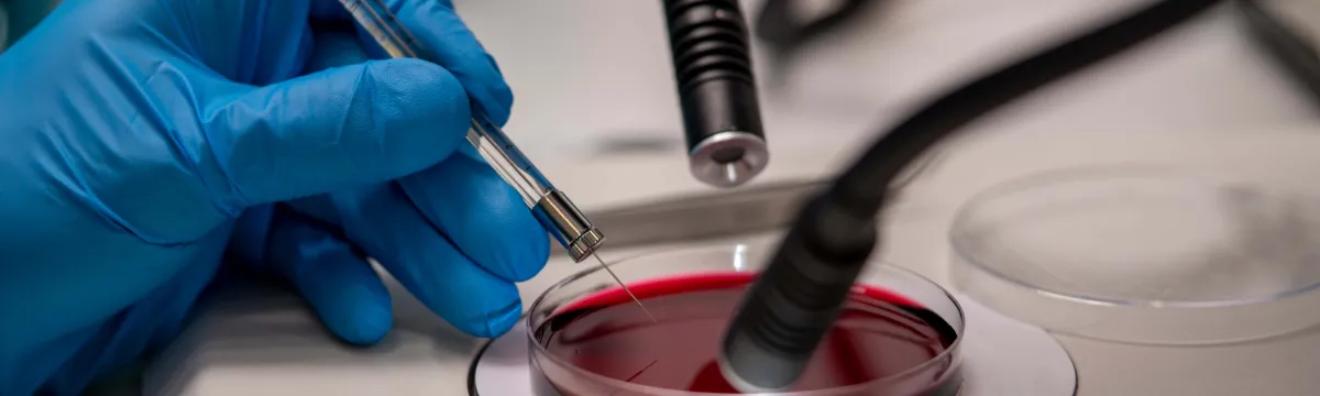 Clear Vision Research Lab