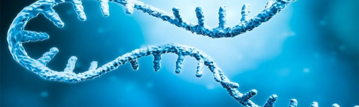 National Therapeutic mRNA Platform