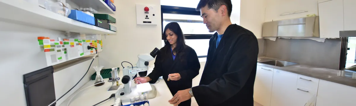 Rippei Hayashi Archica Gupta