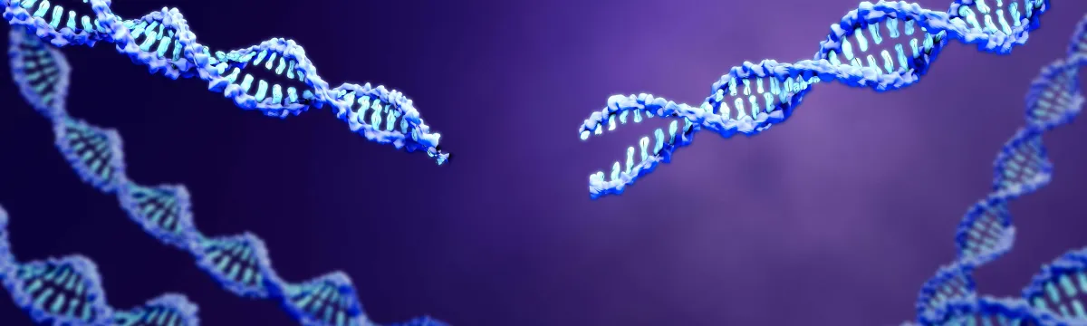 CRISPR Screening Service