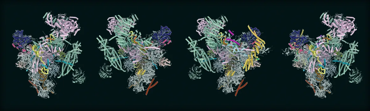 Structures of aberrant spliceosome intermediates on their way to disassembly