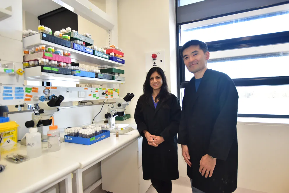 Dr Rippei Hayashi Archica Gupta