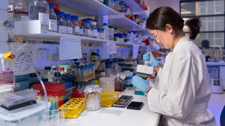 A researcher conducting some tests in a lab