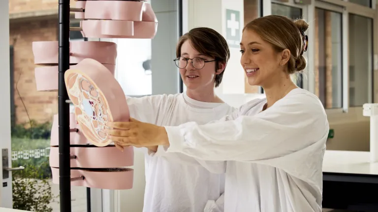 Undergraduate research