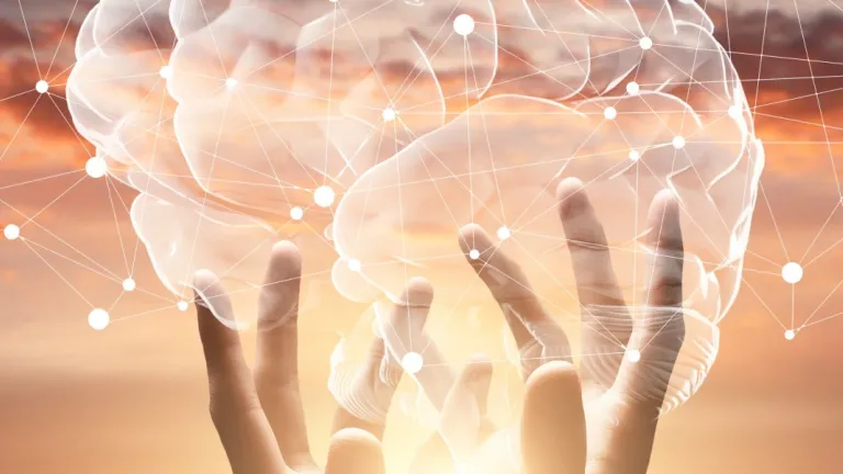 Bachelor of Philosophy, Neuroscience and Psychology