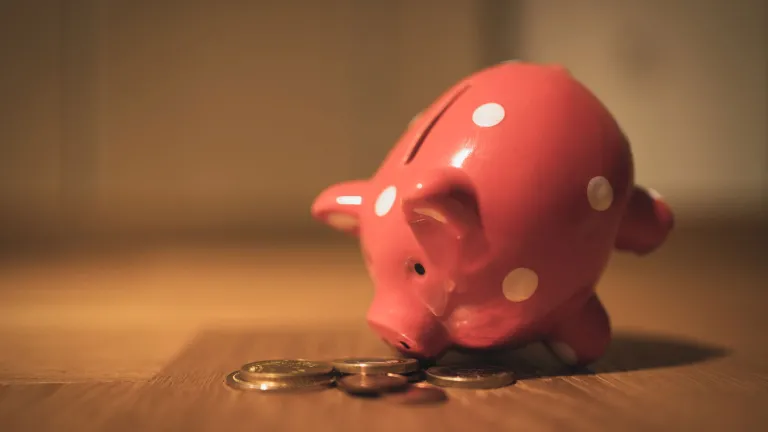 Piggy bank