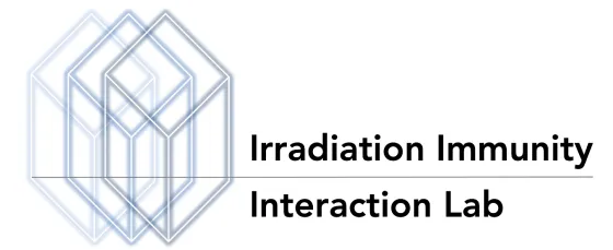 I-Cube logo