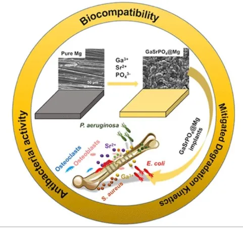 Li group - TORU lab