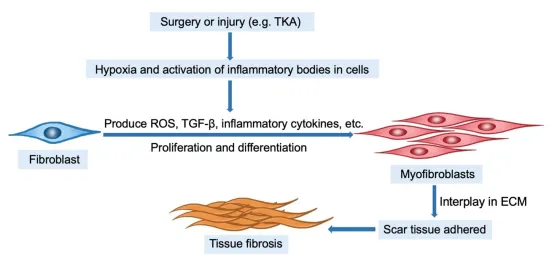 Li group - TORU lab