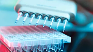 Organoid, Spheroid &amp; 3D Screening