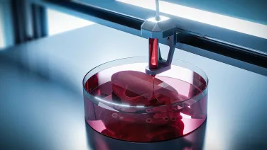 3D Bioprinting